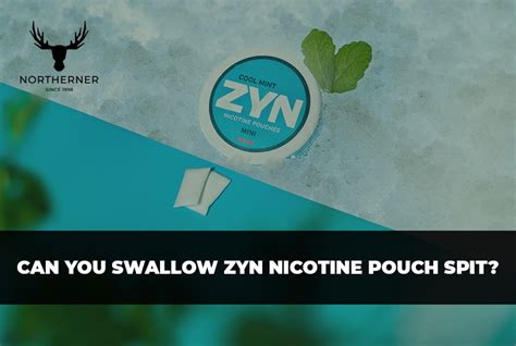 do you spit zyn reddit|zyn pouches can you swallow.